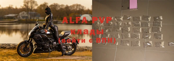 амф Верхний Тагил