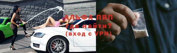 амф Верхний Тагил