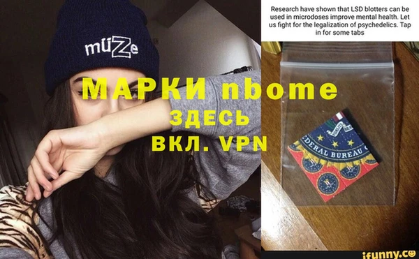 амф Верхний Тагил