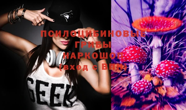 амф Верхний Тагил