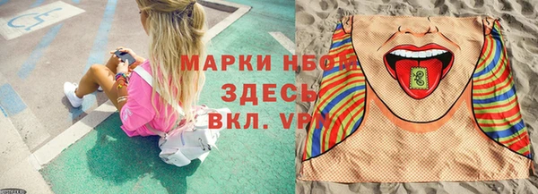 амф Верхний Тагил
