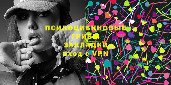 амф Верхний Тагил